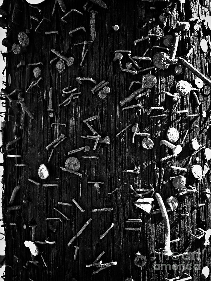 The Wounded Telephone Pole No. 6 Photograph by Fei A