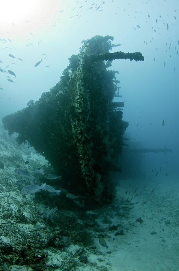 The Wreck Of Skipjack In The Maldives Photograph By Scubazoo - Fine Art 