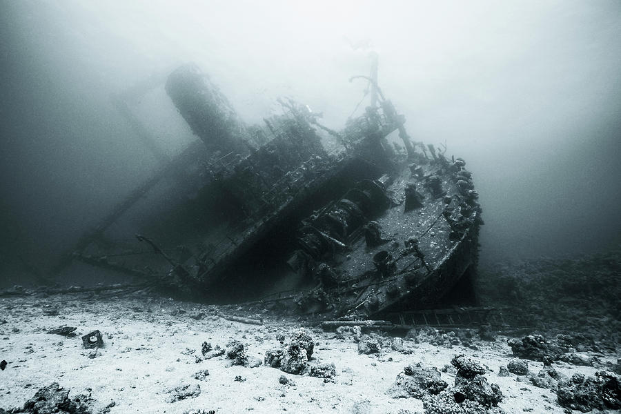 The Wreck Of The Giannis D, Red Sea Photograph By Brook Peterson - Fine 