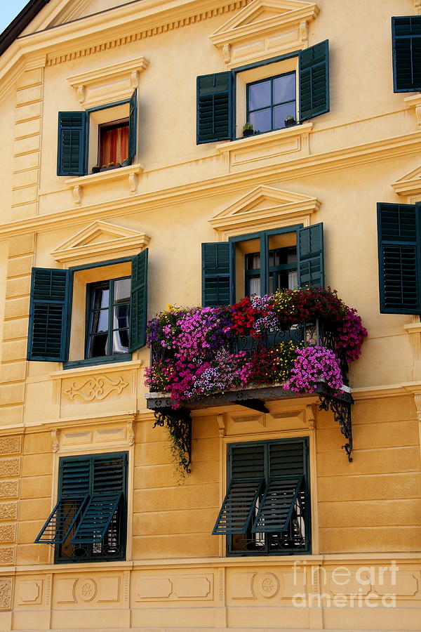 The Yellow Facade And Green Windows Photograph by Christiane Schulze Art And Photography