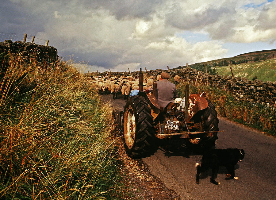 The Yorkshire Shepherd Photograph by John Topman