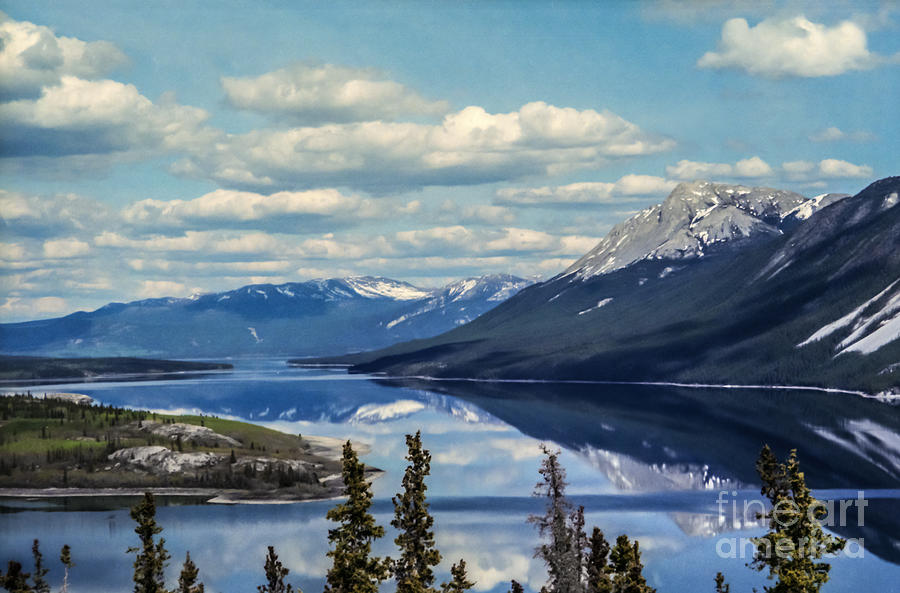 The Yukon Photograph by Suzanne Luft