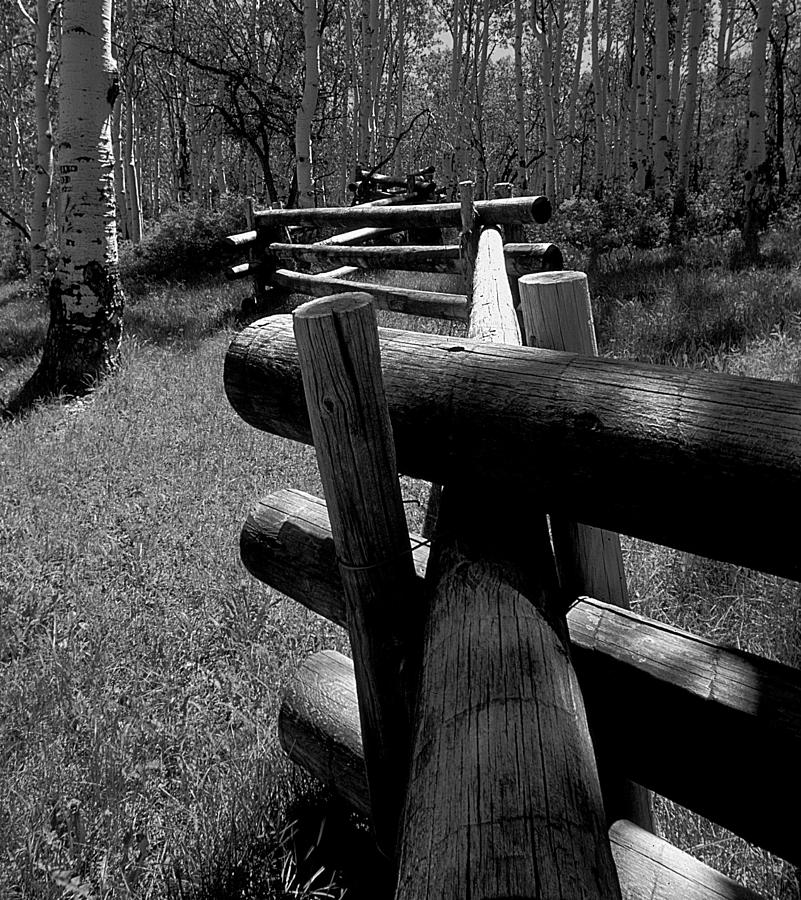 Fences Photograph - The zig zagged fence by Mike Bennett Fences Photograph - The zig zagged fence by Mike Bennett