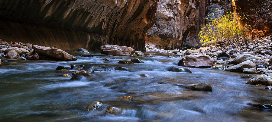 The Zion Narrows Panorama Photograph by Andrew Soundarajan