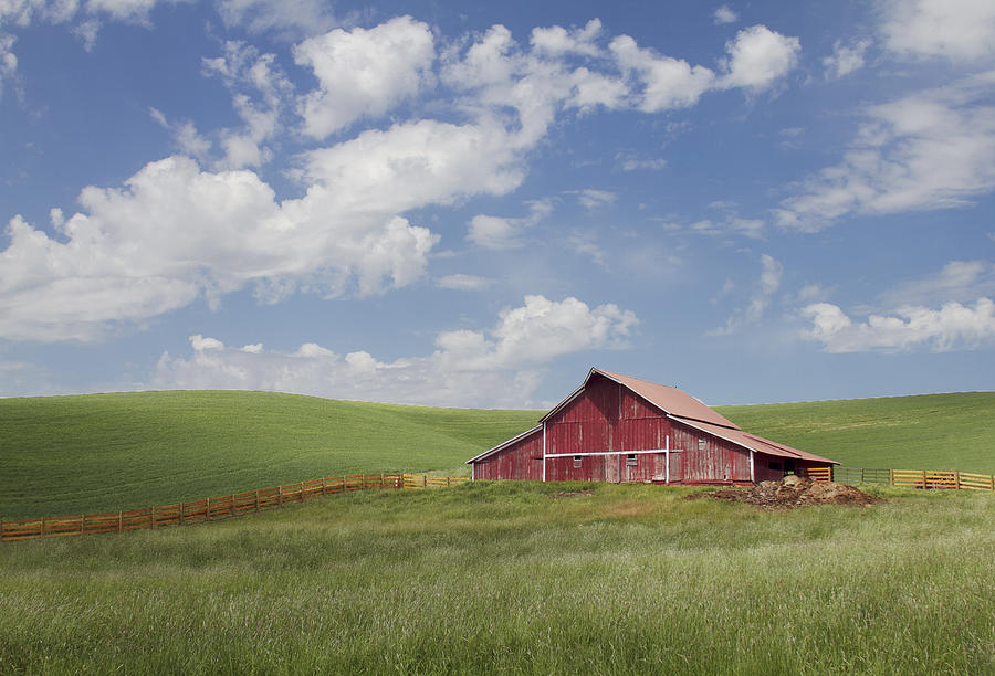 The red barn Photograph by Elvira Butler