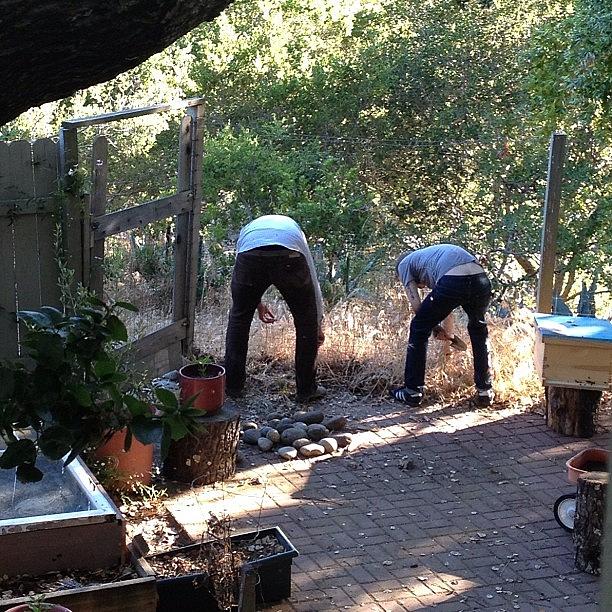 Spring Photograph - #theboys #working In The #garden by Emily Sheridan