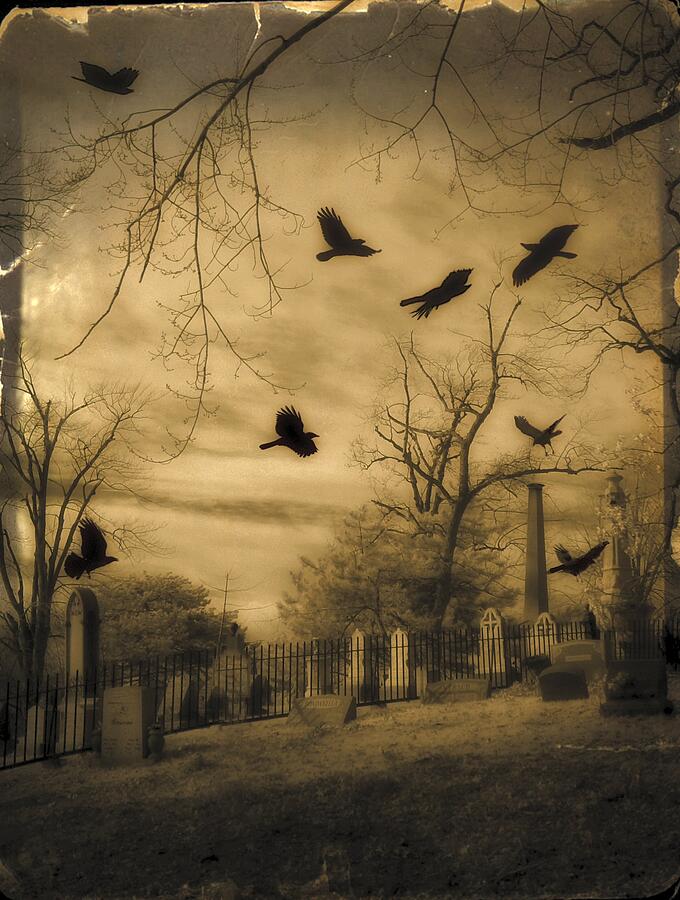 Then There Were Crows Photograph by Gothicrow Images | Fine Art America