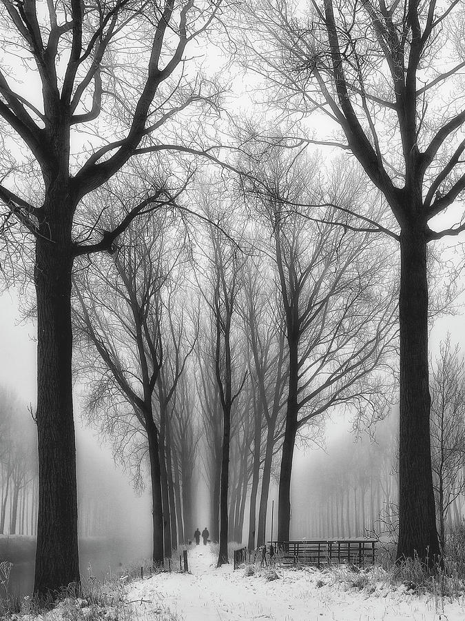 Black And White Photograph - Then Winter Comes by Yvette Depaepe