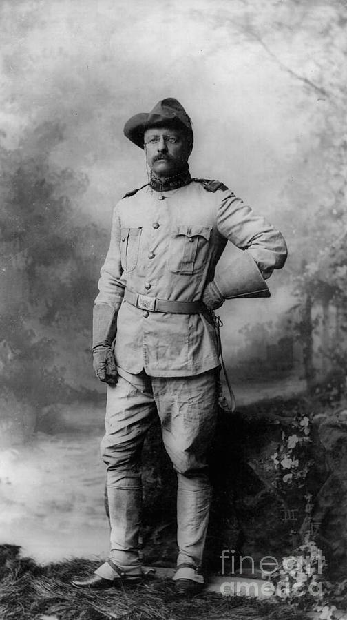 Theodore D Roosevelt 26th President of the United States of America  Photograph by Anonymous