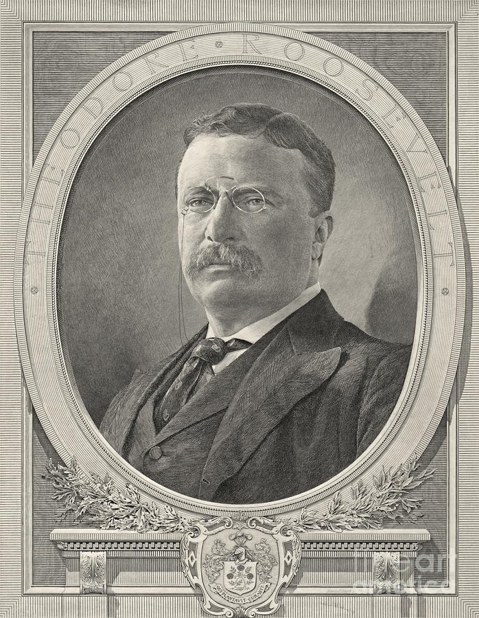 Theodore Roosevelt 1905 Photograph by Padre Art