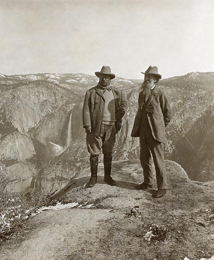 Theodore Roosevelt And John Muir Photograph by Library Of Congress