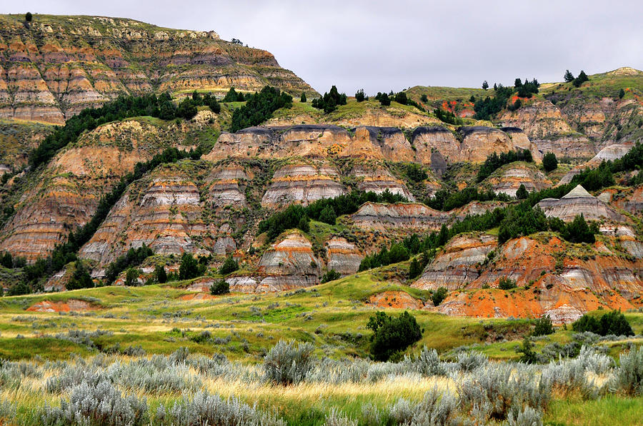 Theodore Roosevelt National Park Photograph by Dennis Macdonald