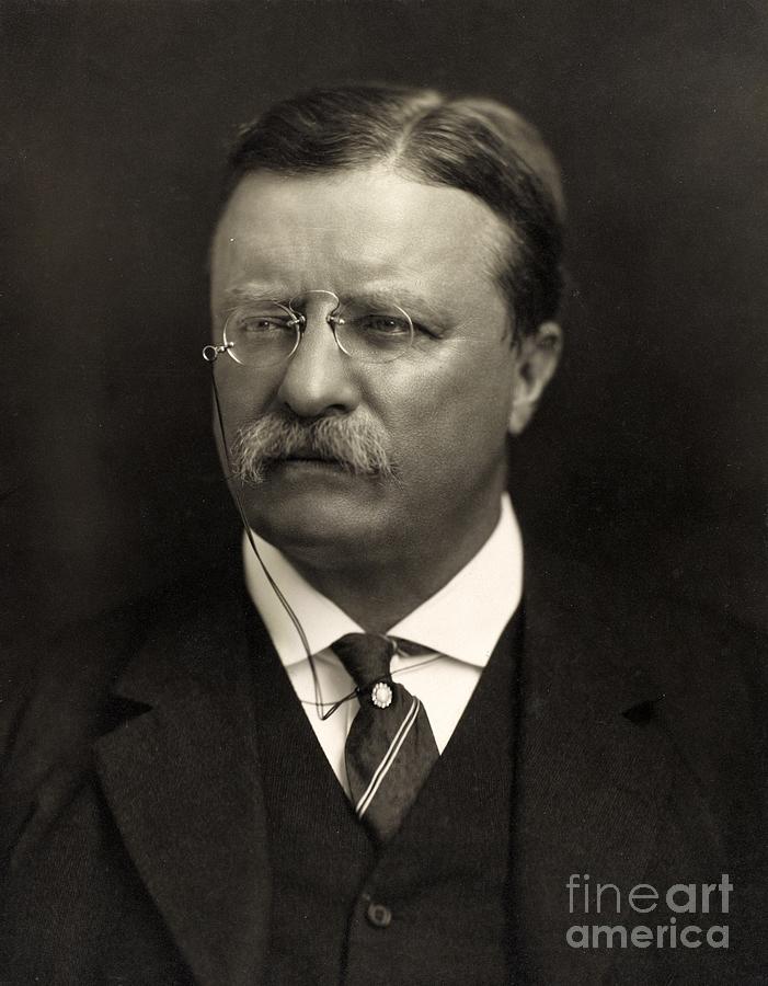 Theodore Roosevelt Photograph by American School