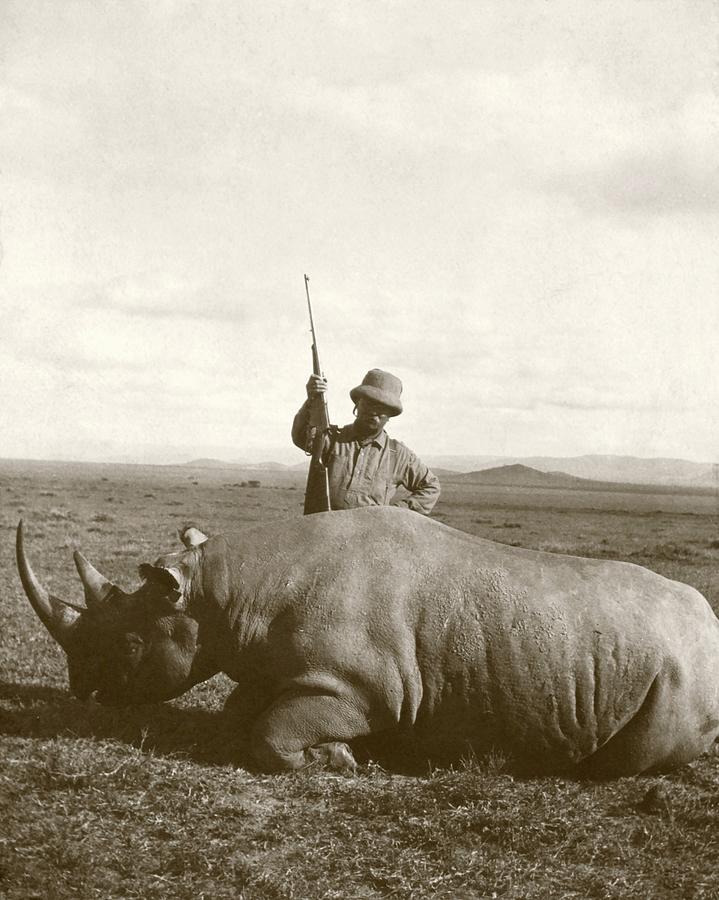 Theodore Roosevelt Photograph - Theodore Roosevelt With Rhino by Library Of Congress/science Photo Library