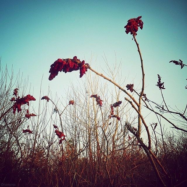 Landscape Photograph - there Are Always Flowers For Those by Natasha Marco Landscape Photograph - there Are Always Flowers For Those by Natasha Marco
