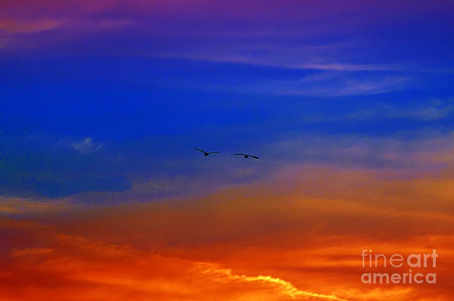 Bird Photograph - There Are Only Two Birds In My Sky by John  Kolenberg