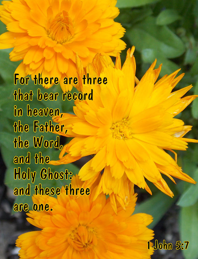 There are Three Photograph by Sheri McLeroy