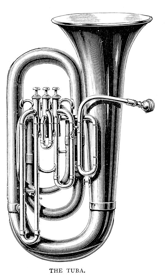 There Are Three Sizes Of Tuba Drawing by Mary Evans Picture Library