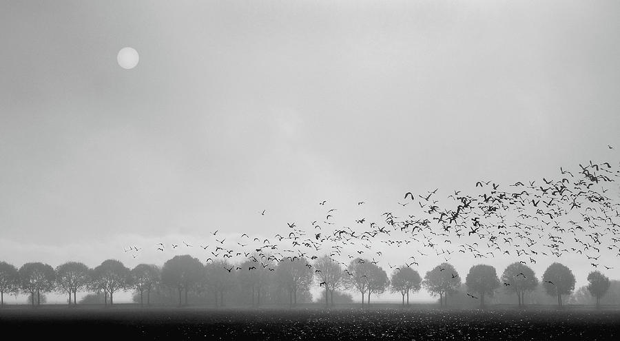 Landscape Photograph - There Comes The Sun by Huib Limberg Landscape Photograph - There Comes The Sun by Huib Limberg