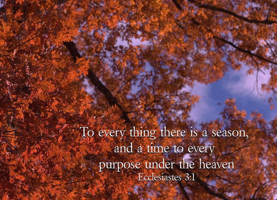 There is a Season Ecclesiastes Photograph by Denise Beverly