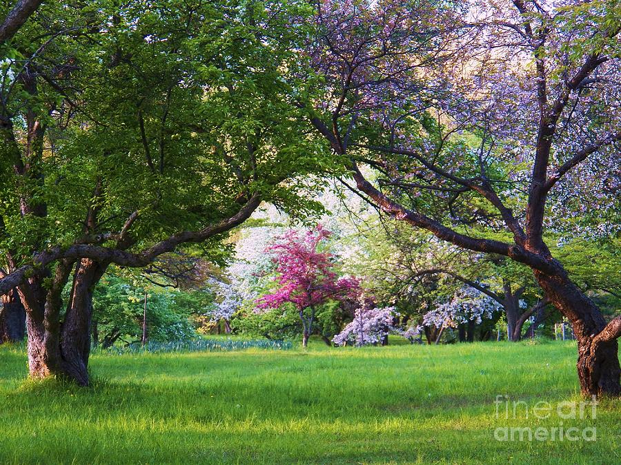 There is No Place Like Spring Photograph by Judy Via-Wolff