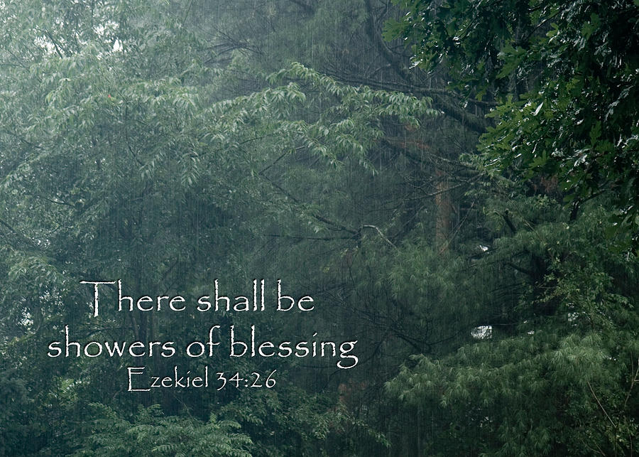 There shall be showers of blessing Photograph by Denise Beverly