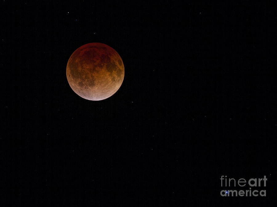 Theres a Blood Moon on the Rise Photograph by Gary Holmes