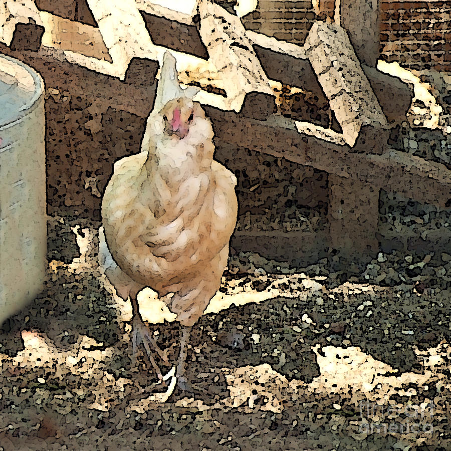 Theres  a Chicken in the Hen House Painting by Artist and Photographer Laura Wrede