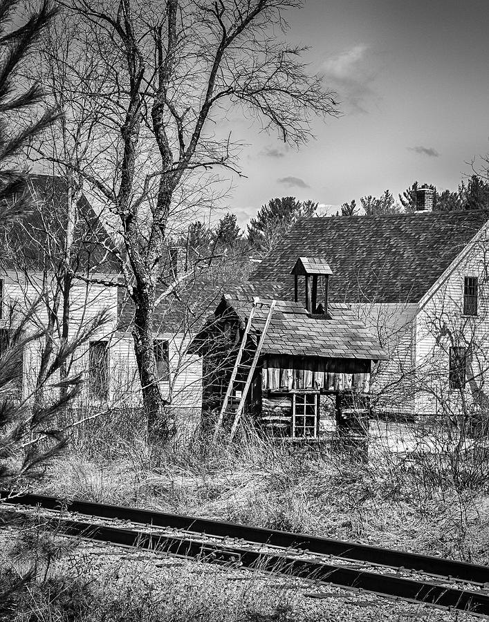 Tree Photograph - Theres a Crazy Little Shack Beyond the Tracks by Betty Denise