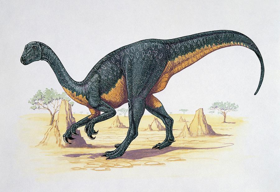 Therizinosaurus Dinosaur Photograph by Deagostini/uig/science Photo Library
