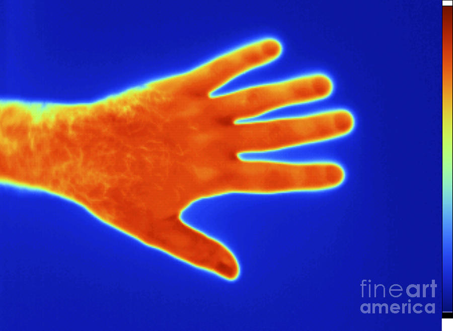 Thermogram Of A Mans Hand Photograph by GIPhotoStock