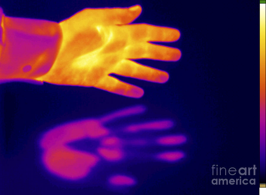 Thermogram Of A Thermal Shadow Photograph by GIPhotoStock