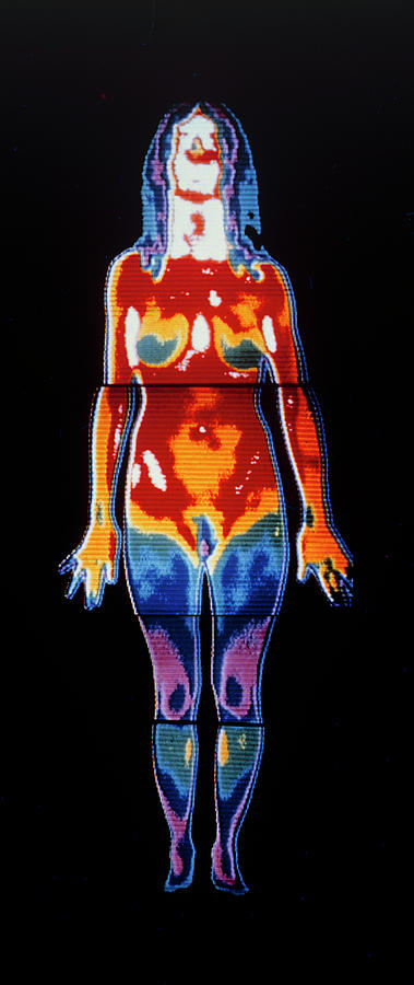 Thermogram Of A Woman Photograph by Dr Ray Clark (frps) & Mervyn De Calcina- Goff (frps)/science Photo Library