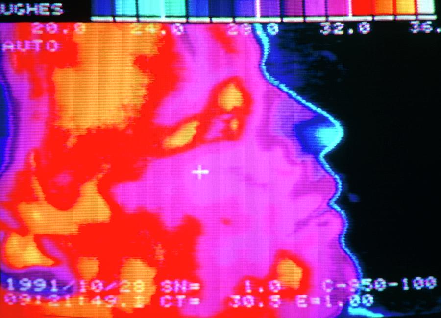 Thermogram Of Head In Profile Photograph by Peter Menzel/science Photo Library