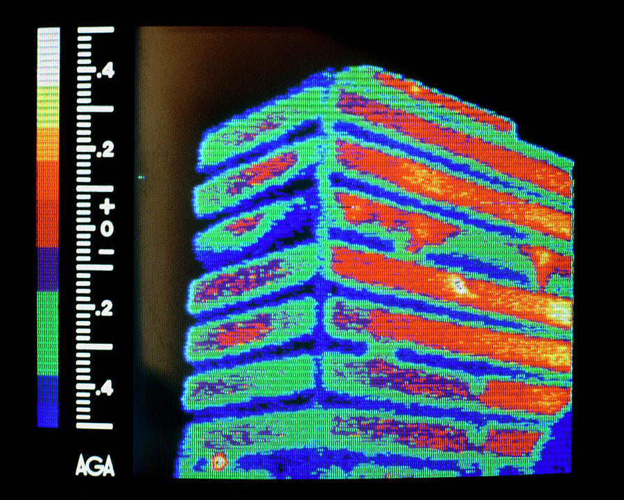 Thermogram Of Heat Loss From Multi-storey Office Photograph by Williams & Metcalf/science Photo Library.