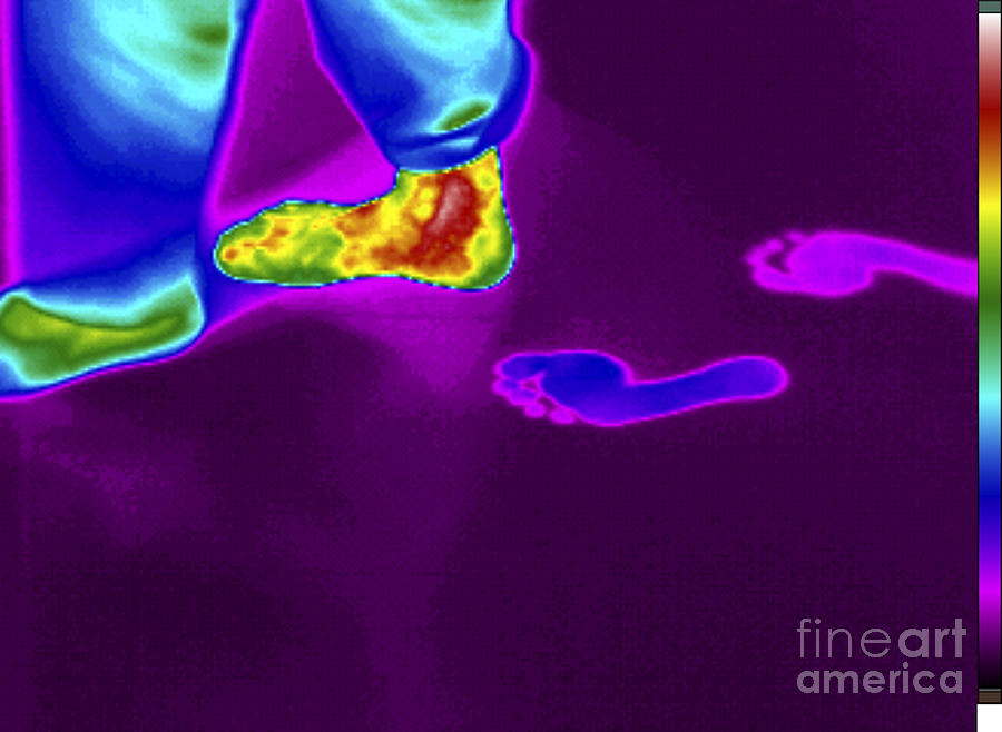 Thermogram Of Thermal Footprints Photograph by GIPhotoStock