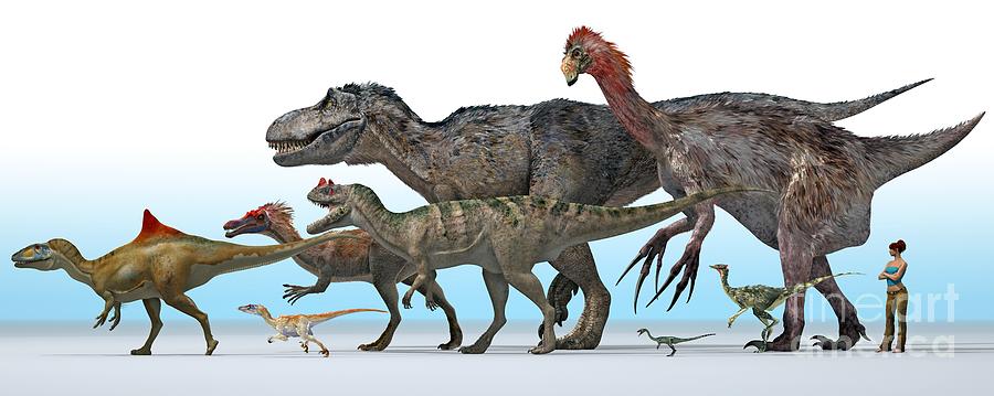 small theropod dinosaurs