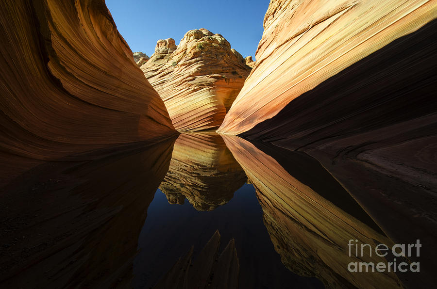 Nature Photograph - The Wave Reflected Beauty 1 by Bob Christopher