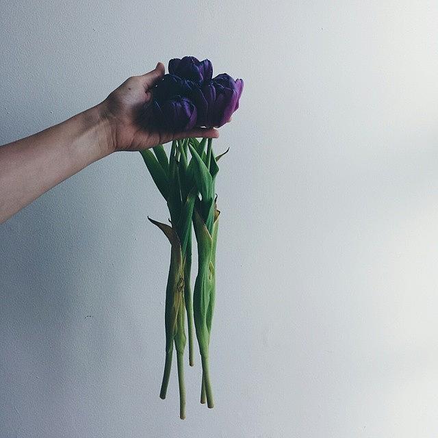 Vsco Photograph - They Were Our First Tulips In This by Duygu Ntagkala