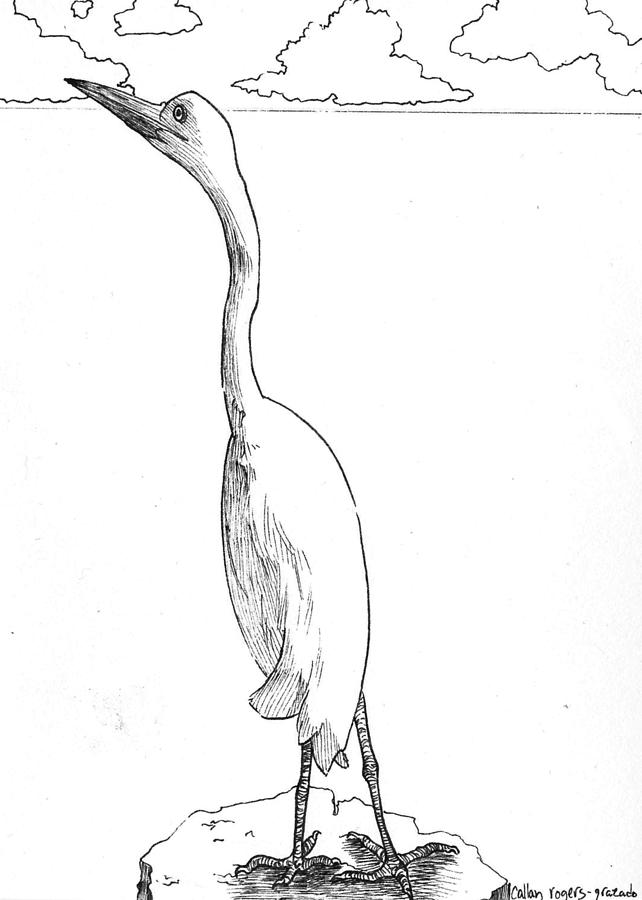 Crane Drawing - Theyll Need a Crane by Callan Rogers-Grazado