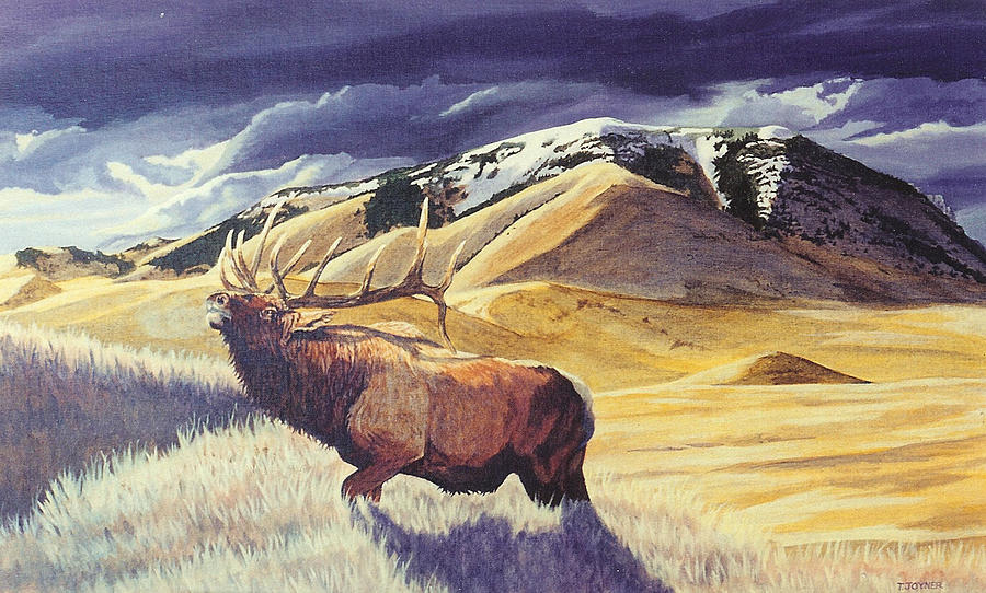 Theyre Bugling on West Butte Painting by Tim  Joyner
