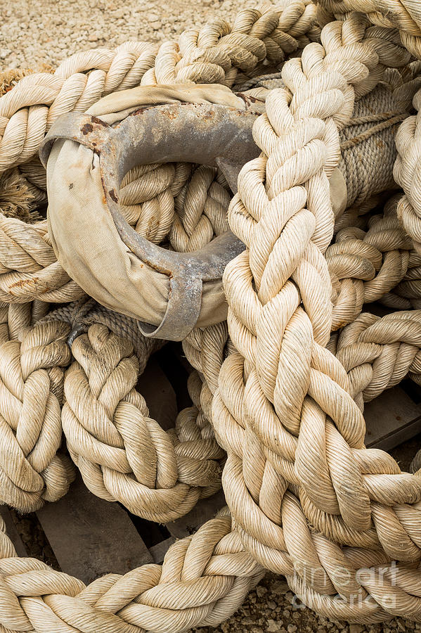 Braided rope with eyelet Photograph by Imagery by Charly