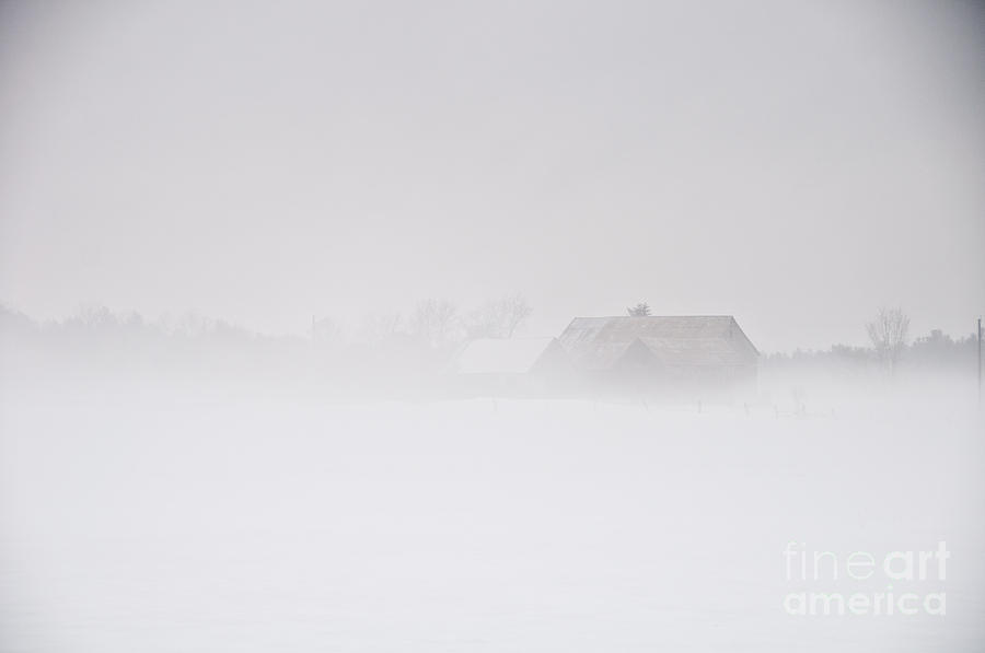 Thick Fog Photograph by Cheryl Baxter
