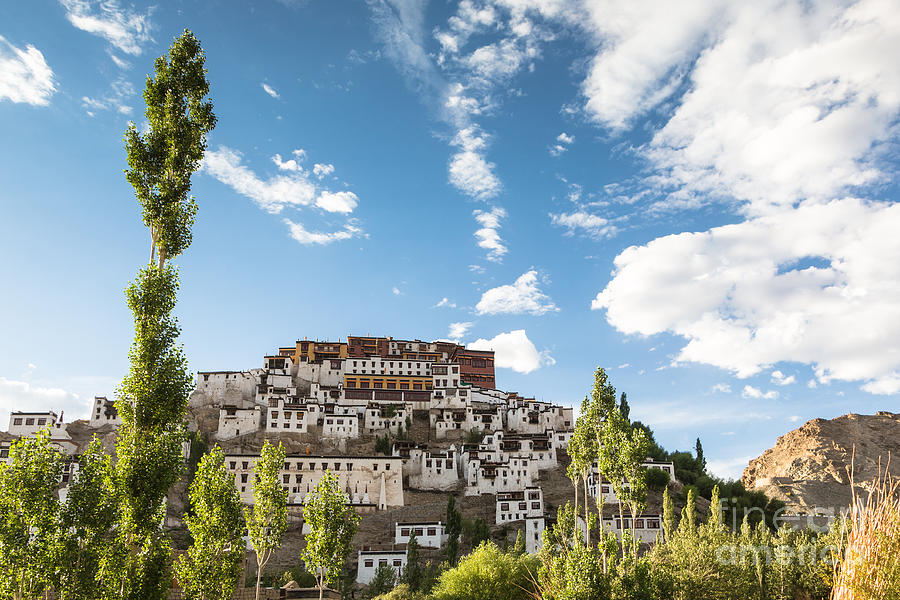 Thiksey Gompa  in Ladakh Photograph by Didier Marti