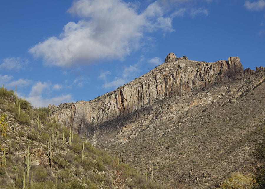 Thimble peak in Sabino Canyon Photograph by Elvira Butler