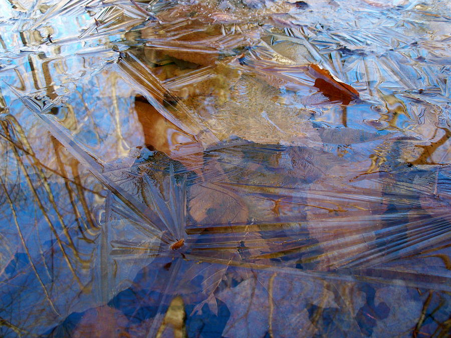 Nature Photograph - Thin Ice by David Pickett