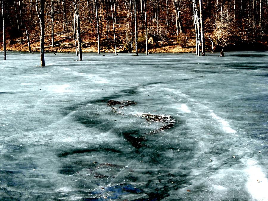 Winter Photograph - Thin Ice by Julie Grandfield