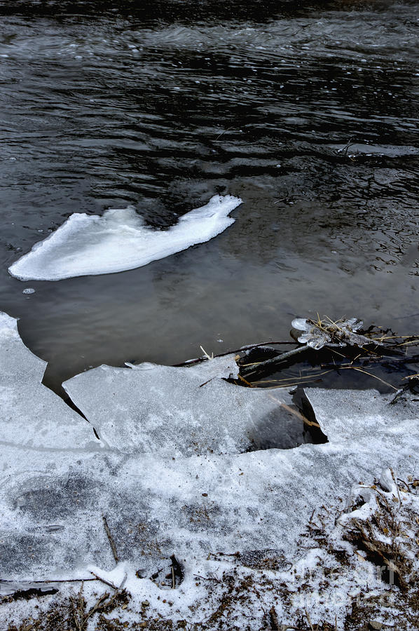 Thin Ice Photograph by Margie Hurwich