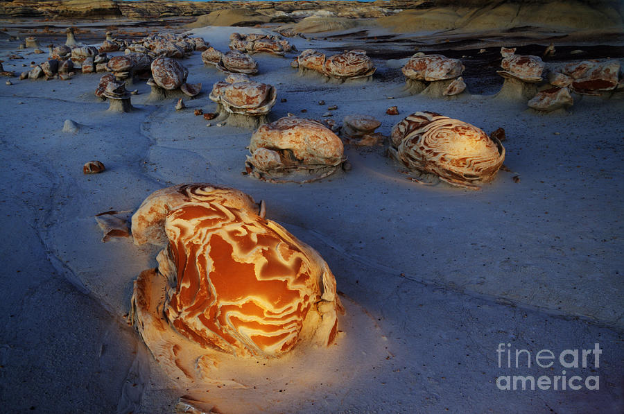 Nature Photograph - The Egg Factory  Bisti/De-Na-Zin Wilderness At Night by Bob Christopher