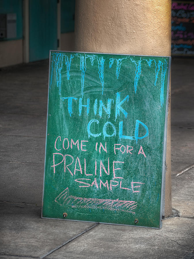 Think Cold Photograph by Brenda Bryant
